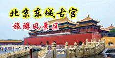 操烂你的骚逼视频一线中国北京-东城古宫旅游风景区